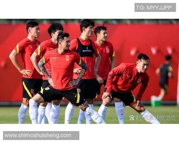 各国足球球星在役状态及未来发展趋势分析