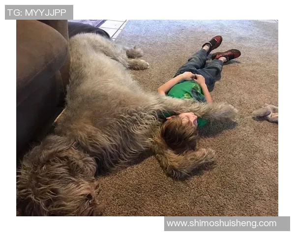 足球巨星与爱犬温情日常展现运动员场外柔情一面